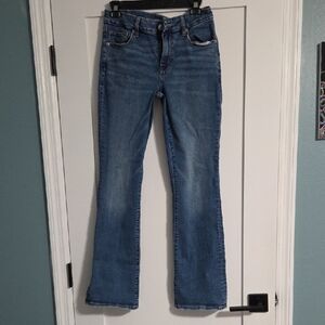 American Eagle Outfitters Blue Flare Jeans